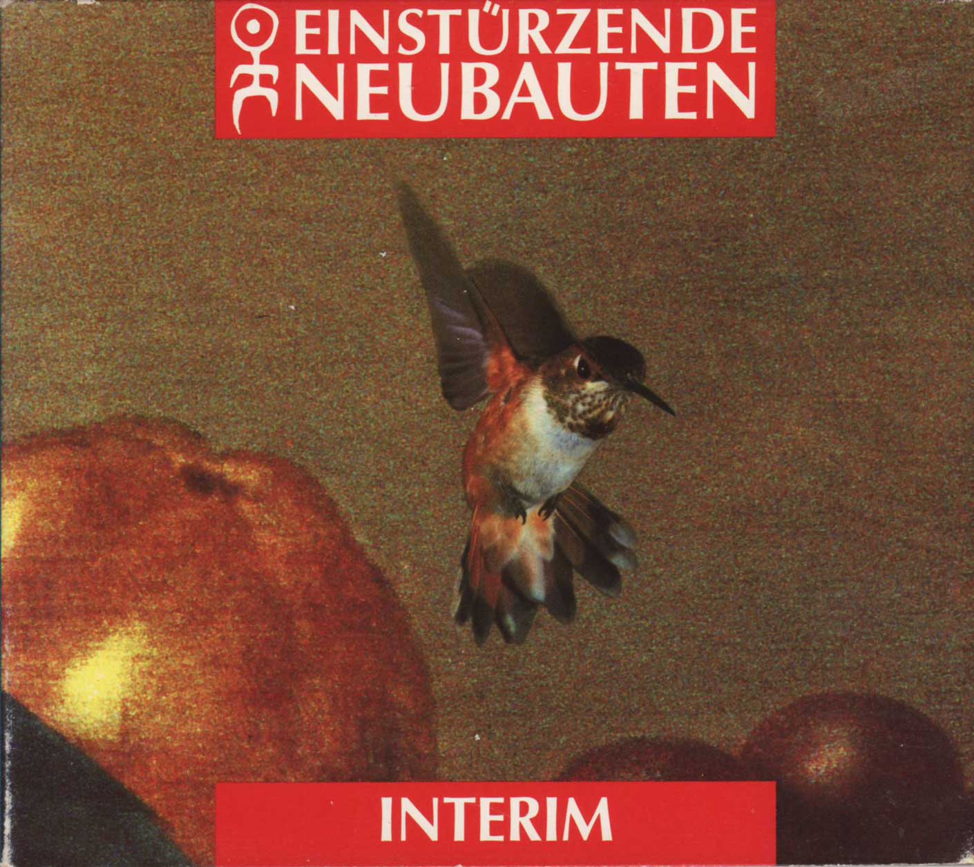 Interim